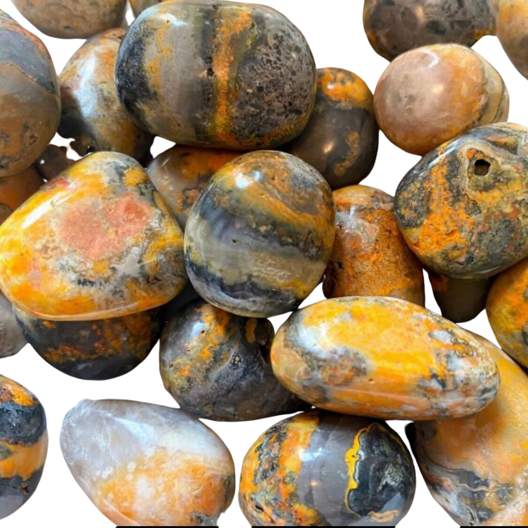 Bumblebee Jasper Tumble