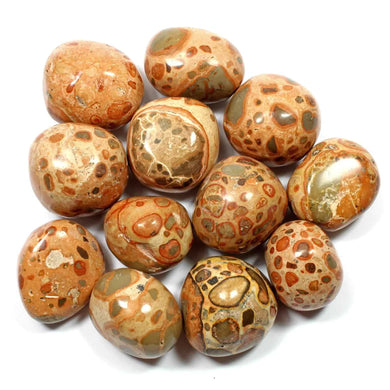 Leopard Skin Jasper Tumble