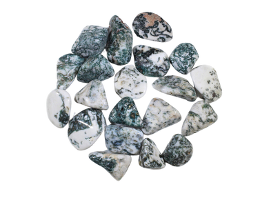 Tree Agate Tumble