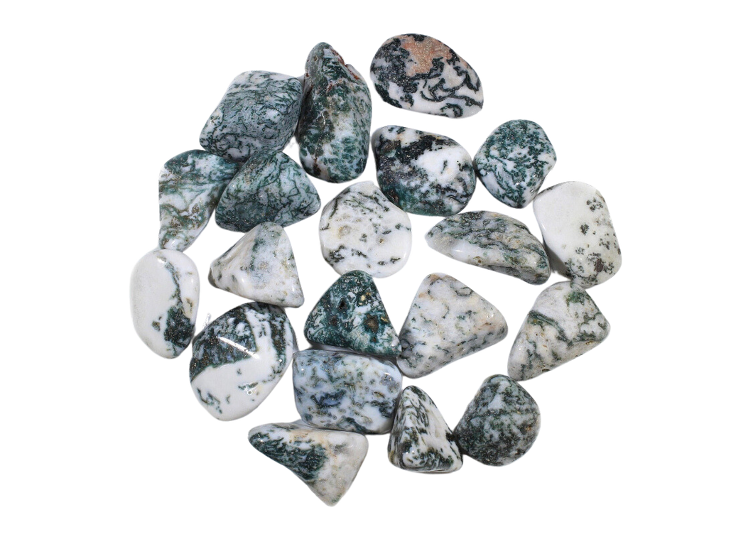 Tree Agate Tumble