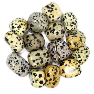 Dalmatian Jasper Tumble
